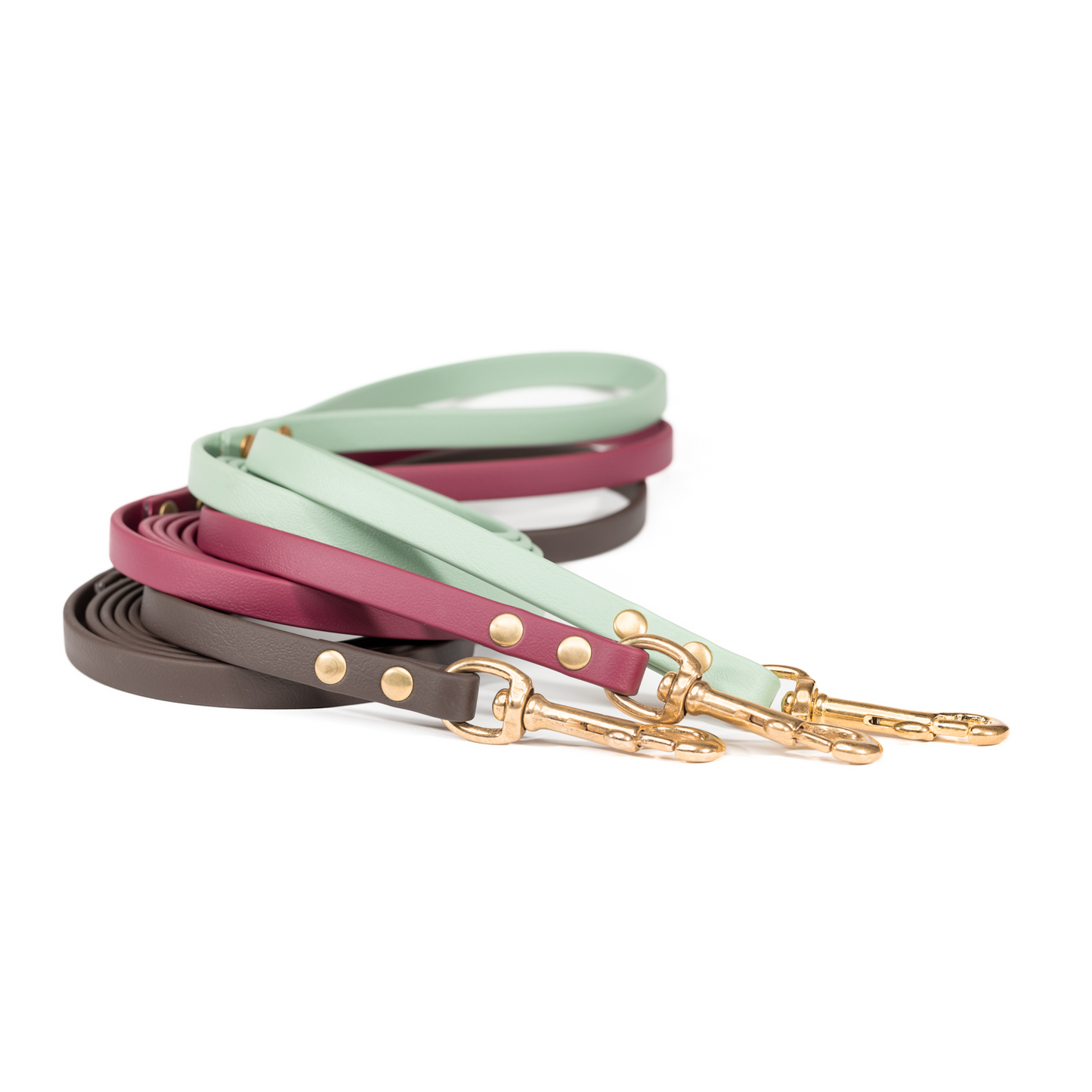 Biothane® Heavy Duty Leash
