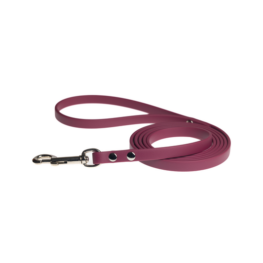 Biothane® Heavy Duty Leash | 6 ft Wine
